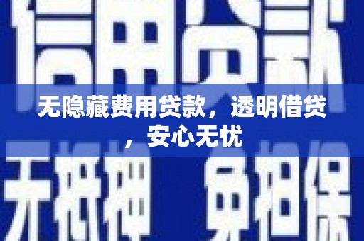 大湖无隐藏费用贷款，透明借贷，安心无忧