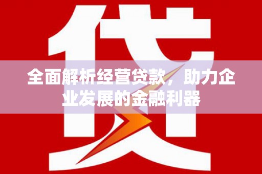 大湖全面解析经营贷款，助力企业发展的金融利器