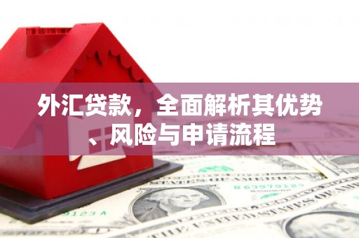 大湖外汇贷款，全面解析其优势、风险与申请流程