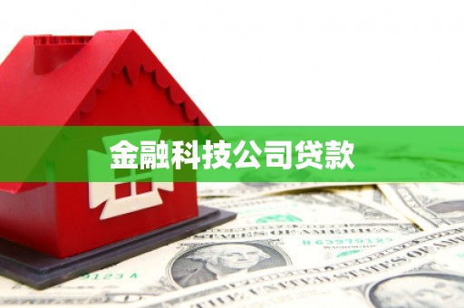大湖金融科技公司贷款