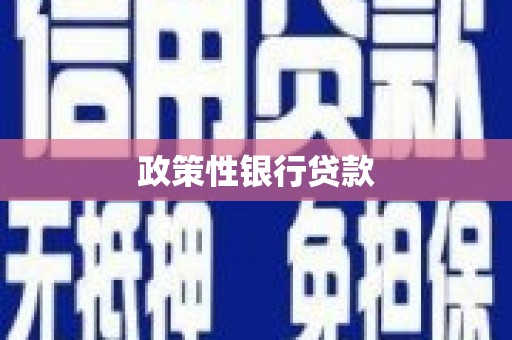 大湖政策性银行贷款
