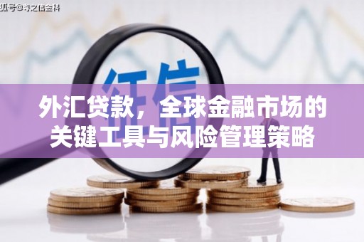 大湖外汇贷款，全球金融市场的关键工具与风险管理策略