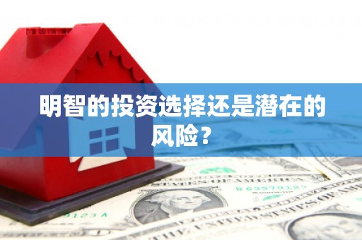 大湖明智的投资选择还是潜在的风险？