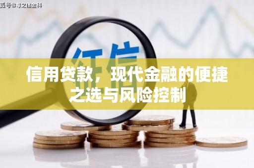 大湖信用贷款，现代金融的便捷之选与风险控制