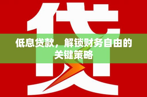 大湖低息贷款，解锁财务自由的关键策略