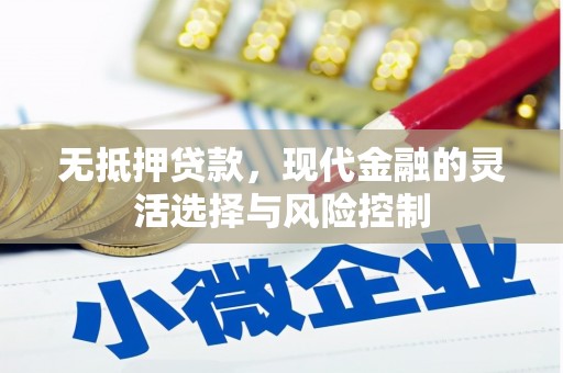 大湖无抵押贷款，现代金融的灵活选择与风险控制