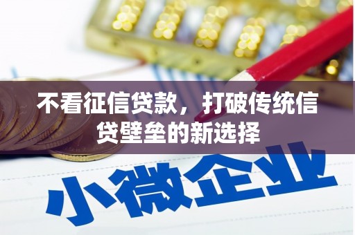 大湖不看征信贷款，打破传统信贷壁垒的新选择