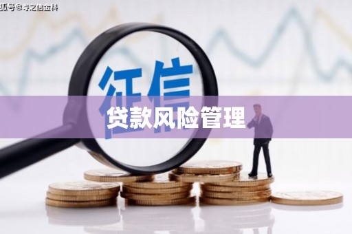 大湖贷款风险管理
