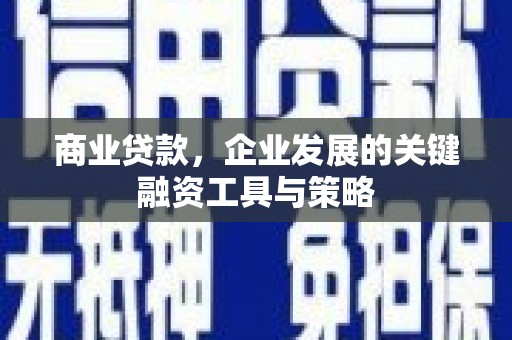 大湖商业贷款，企业发展的关键融资工具与策略