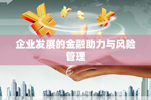 大湖企业发展的金融助力与风险管理