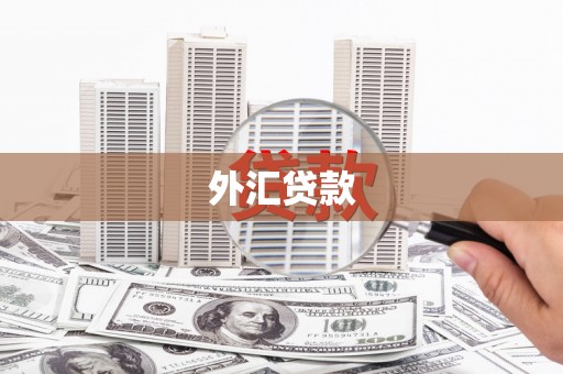 大湖外汇贷款