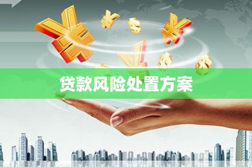 大湖贷款风险处置方案