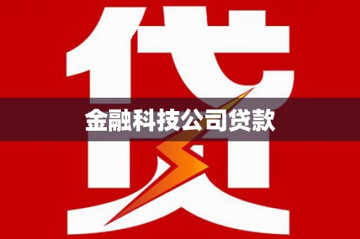 大湖金融科技公司贷款