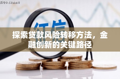 大湖探索贷款风险转移方法，金融创新的关键路径