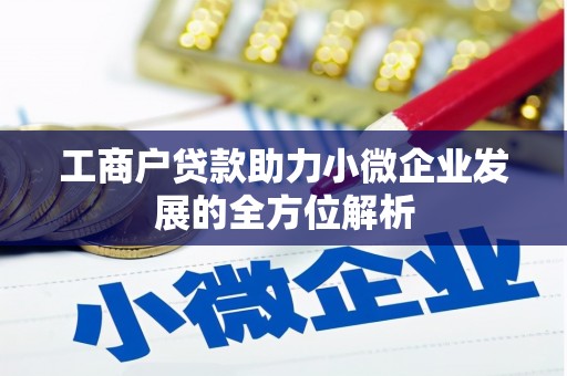 大湖工商户贷款助力小微企业发展的全方位解析