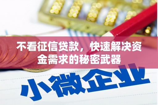 大湖不看征信贷款，快速解决资金需求的秘密武器