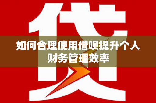 大湖如何合理使用借呗提升个人财务管理效率