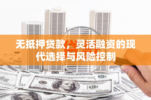 大湖无抵押贷款，灵活融资的现代选择与风险控制