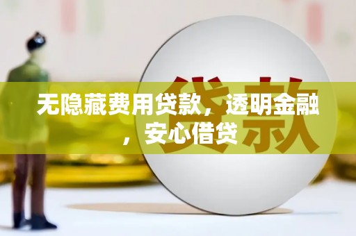大湖无隐藏费用贷款，透明金融，安心借贷