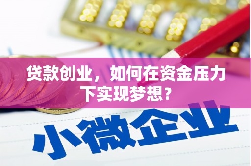 大湖贷款创业，如何在资金压力下实现梦想？