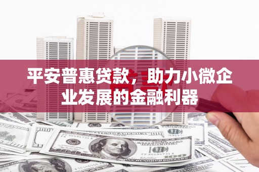 大湖平安普惠贷款，助力小微企业发展的金融利器