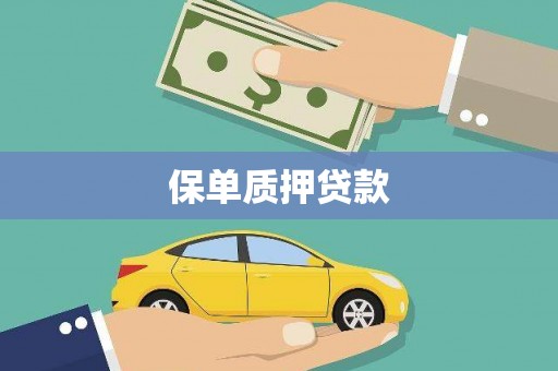 大湖保单质押贷款