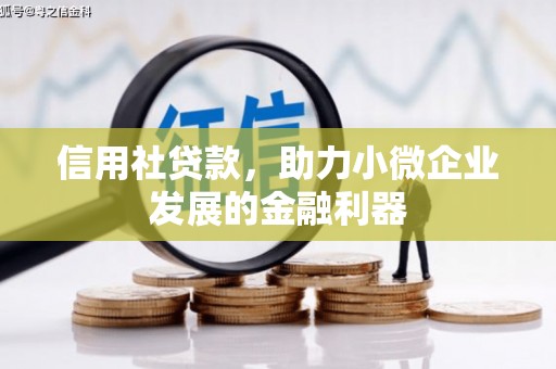 大湖信用社贷款，助力小微企业发展的金融利器