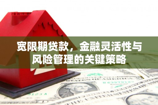 大湖宽限期贷款，金融灵活性与风险管理的关键策略
