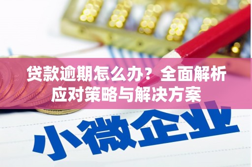 大湖贷款逾期怎么办？全面解析应对策略与解决方案