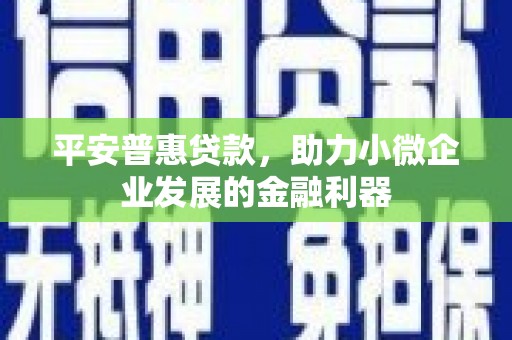 大湖平安普惠贷款，助力小微企业发展的金融利器