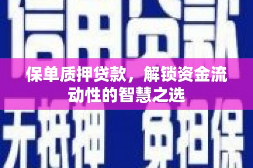 大湖保单质押贷款，解锁资金流动性的智慧之选