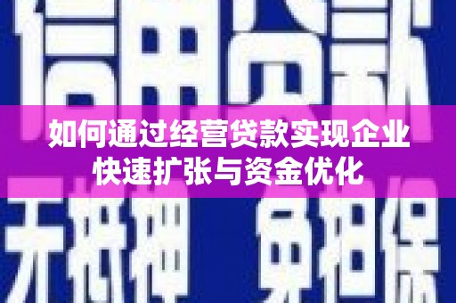 大湖如何通过经营贷款实现企业快速扩张与资金优化