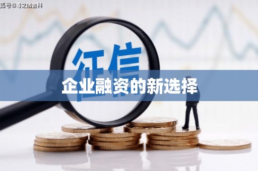 大湖企业融资的新选择