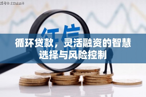 大湖循环贷款，灵活融资的智慧选择与风险控制