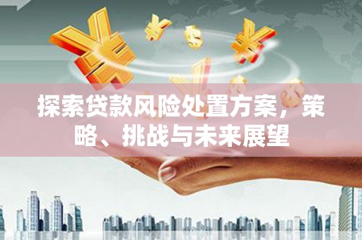 大湖探索贷款风险处置方案，策略、挑战与未来展望