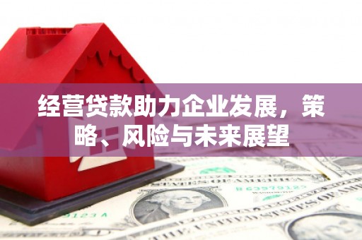 大湖经营贷款助力企业发展，策略、风险与未来展望