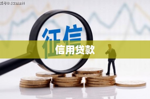 大湖信用贷款