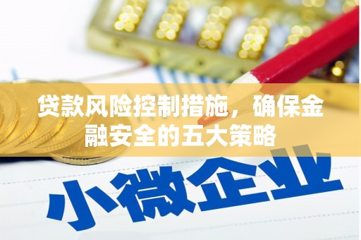 大湖贷款风险控制措施，确保金融安全的五大策略