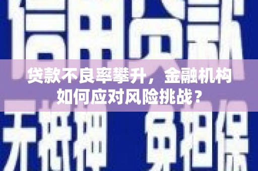 大湖贷款不良率攀升，金融机构如何应对风险挑战？