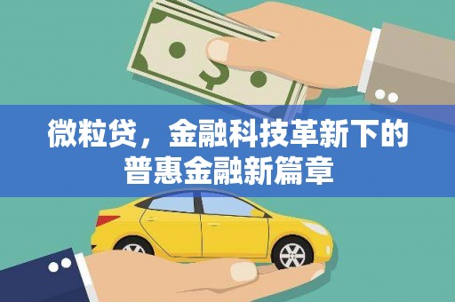 大湖微粒贷，金融科技革新下的普惠金融新篇章