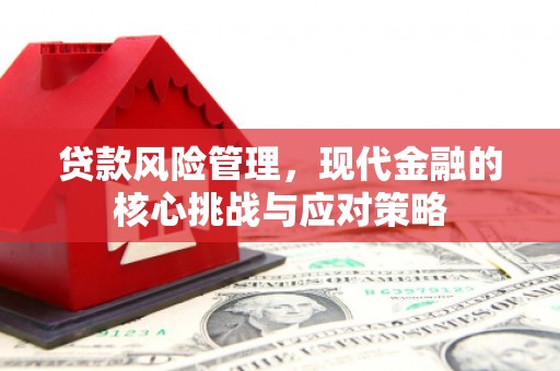 大湖贷款风险管理，现代金融的核心挑战与应对策略