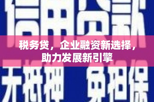 大湖税务贷，企业融资新选择，助力发展新引擎