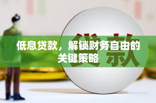 大湖低息贷款，解锁财务自由的关键策略