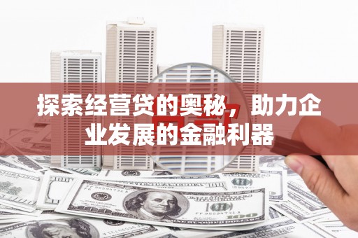大湖探索经营贷的奥秘，助力企业发展的金融利器