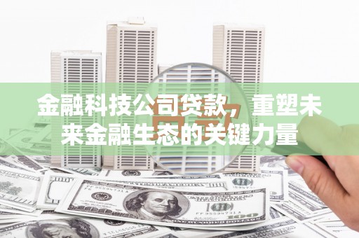 大湖金融科技公司贷款，重塑未来金融生态的关键力量