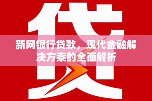 大湖新网银行贷款，现代金融解决方案的全面解析