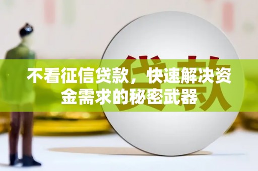 大湖不看征信贷款，快速解决资金需求的秘密武器