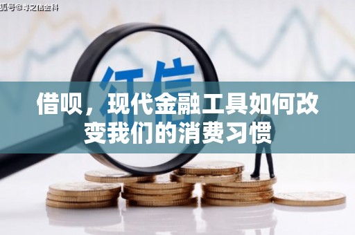 大湖借呗，现代金融工具如何改变我们的消费习惯