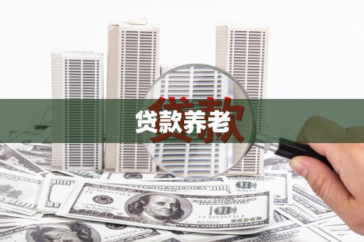 大湖贷款养老