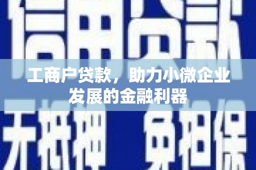 大湖工商户贷款，助力小微企业发展的金融利器